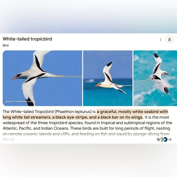 PRICE DROP 14k Gold Vintage Seabird handcrafted charm/pendant - Picture 6 of 6